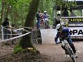 trjv Hambers 061